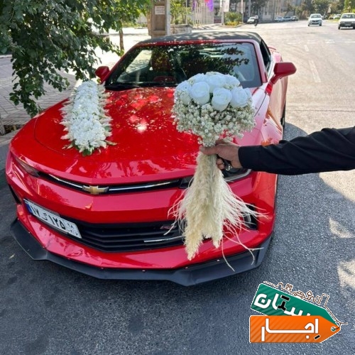 خدمات اجاره کرایه خودرو تشریفات و ماشین عروس