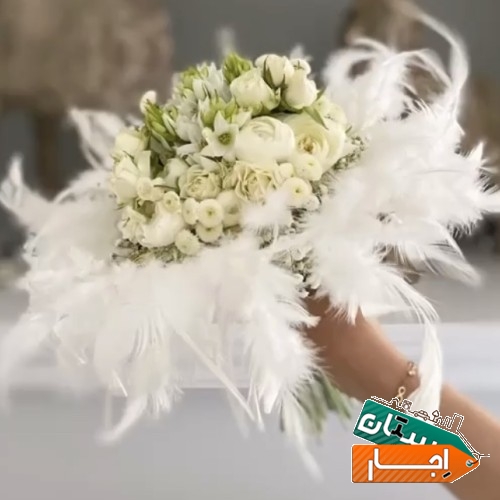 تصویر ۲