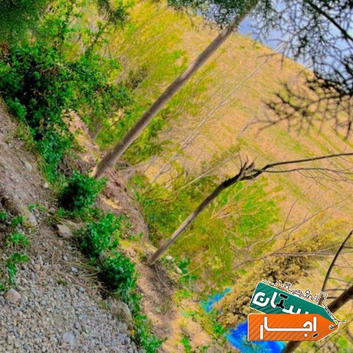 ویلا باغ اجاره روزانه
