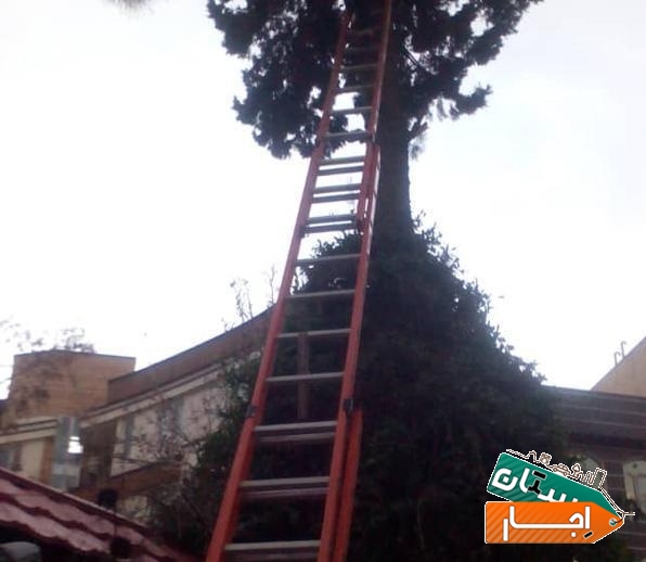 اجاره نردبان