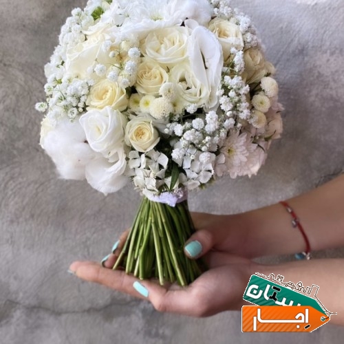 تصویر ۳