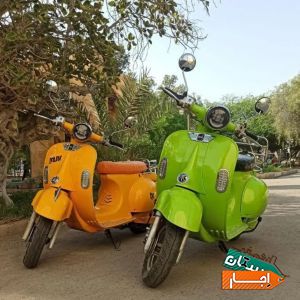 اجاره موتور (رنت انواع موتور برقی)