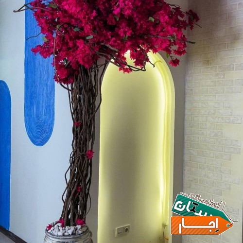 اجاره استودیو عکاسی و تولیدمحتوا