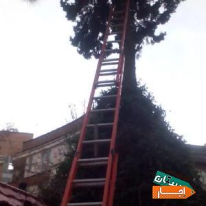 اجاره نردبان با بهترین شرایط در البرز