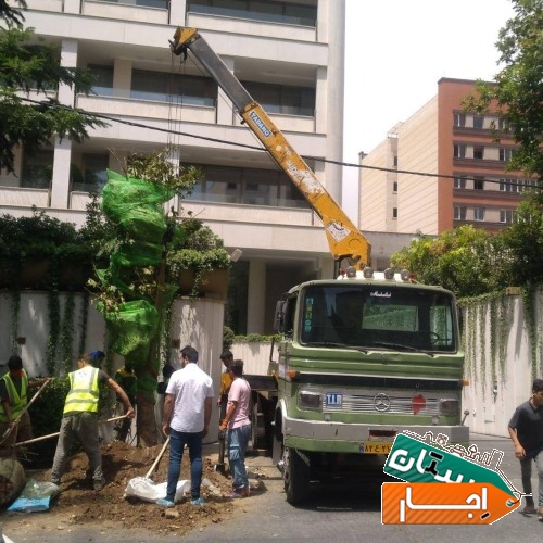 خدمات کرایه ای و اجاره جرثقیل خاور کفی دار کل تهران