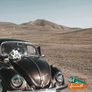 اجاره فولکس قورباغه ای با بهترین شرایط