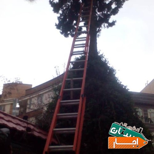 اجاره نردبان