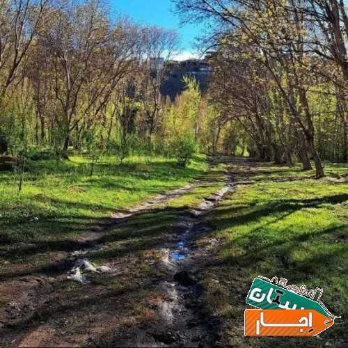 تصویر ۸