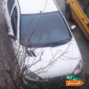 اجاره خودرو 206 اسان