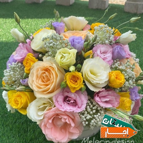 تصویر ۹