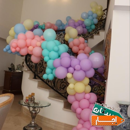 تصویر ۱۳