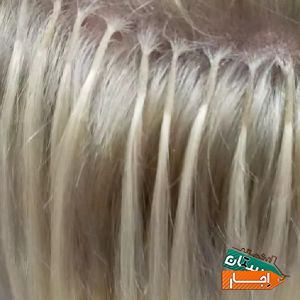 اجاره صندلی برقی اکستنشن به حرفه ای ها در البرز با شرایط مناسب