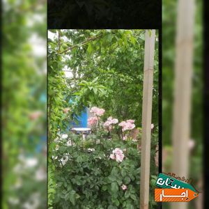 اجاره باع ویلا با استخر روباز
