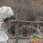 آتلیه-و-باغ-عمارت-عروس-پیشکاری-جنوب-شمال