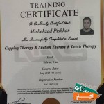 سوزنی-حجامت-زالو-فشاردرمانی-فیزیوتراپی
