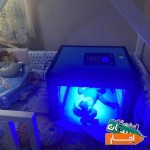 اجاره-دستگاه-زردی-نوزاد-فتوتراپی-پرستاری-زخم