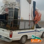 وانت-بار-باربری-شمال-نیسان