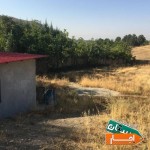 زمین-کشاورزی-جهت-کار-پرورش