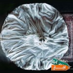اجاره-لباس-عروس