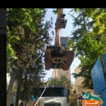 اجاره-مینی-بیل-بابکت