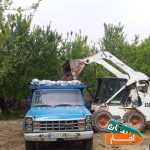 اجاره-نیسان-کمپرسی-وبابکت-و-حمل-نخاله-خدمات