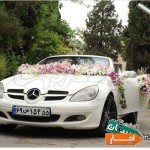 اجاره-ماشین-عروس-گلهای-باکارا