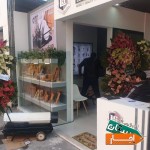 اجاره-جت-هیتر-بخاری-صنعتی-فن-گازوییلی