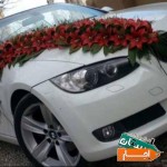 اجاره-کرایه-ماشین-عروس-bmw-کروک-گل-آرایی-خودرو