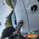 اجاره-ماشین-عروس-و-گل-ارایی-دست