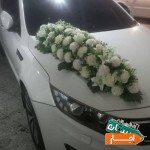 اجاره-ماشین-عروس