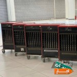 اجاره-انواع-بخاری-انرژی-و-قارچی-جت-برقی