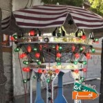 کرایه-و-اجاره-حجله-چهلچراغ