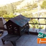 اجاره-قیمت-توافقی
