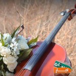 اجاره-آتلیه-عکاسی-فیلمبرداری-مراسم-عقد-عروسی-تولد