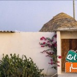 اجاره-قیمت-توافقی
