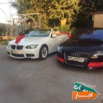 اجاره-ماشین-عروس-کروک