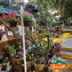 اجاره-کافی-شاپ