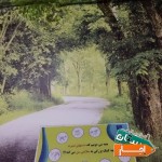 اجاره-ملزومات-و-خدمات-پرستاری-در-منزل-سرم-تراپی-تزریقات