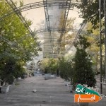اجاره-اسپیس-بخاری-چادر-کل-تهران-وشهرستانها-غرفه