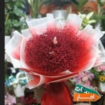 ماشین-عروس-تاج-گل-ترحیم-دسته-اجاره-خودرو