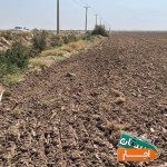 اجاره-350-هکتار-زمین-کشاورزی-اهواز-به-همراه-اب-و-یا-مشارکت-بالمناصفه