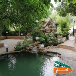 اجاره-قیمت-توافقی