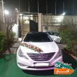 اجاره-ماشین-عروس-سوناتا-yf-قیمت-توافقی