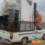وانت-بار-باربری-شمال-نیسان