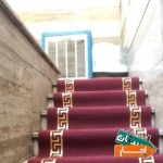 اجاره-انواع-موکت-فرش-چمن-مصنوعی