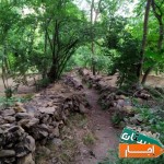 اجاره-قیمت-توافقی