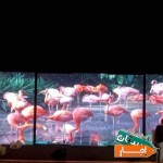 اجاره-اجرای-تلویزیون-شهری-ویدئووال