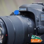 اجاره-دوربین-کنون-canon-d80