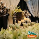 ظروف-کرایه-و-اجاره-تجهیزات-مجالس-در-سراسر-کشور