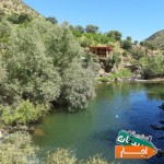 اجاره-ویلا-کلبه-چوبی-و-باغ